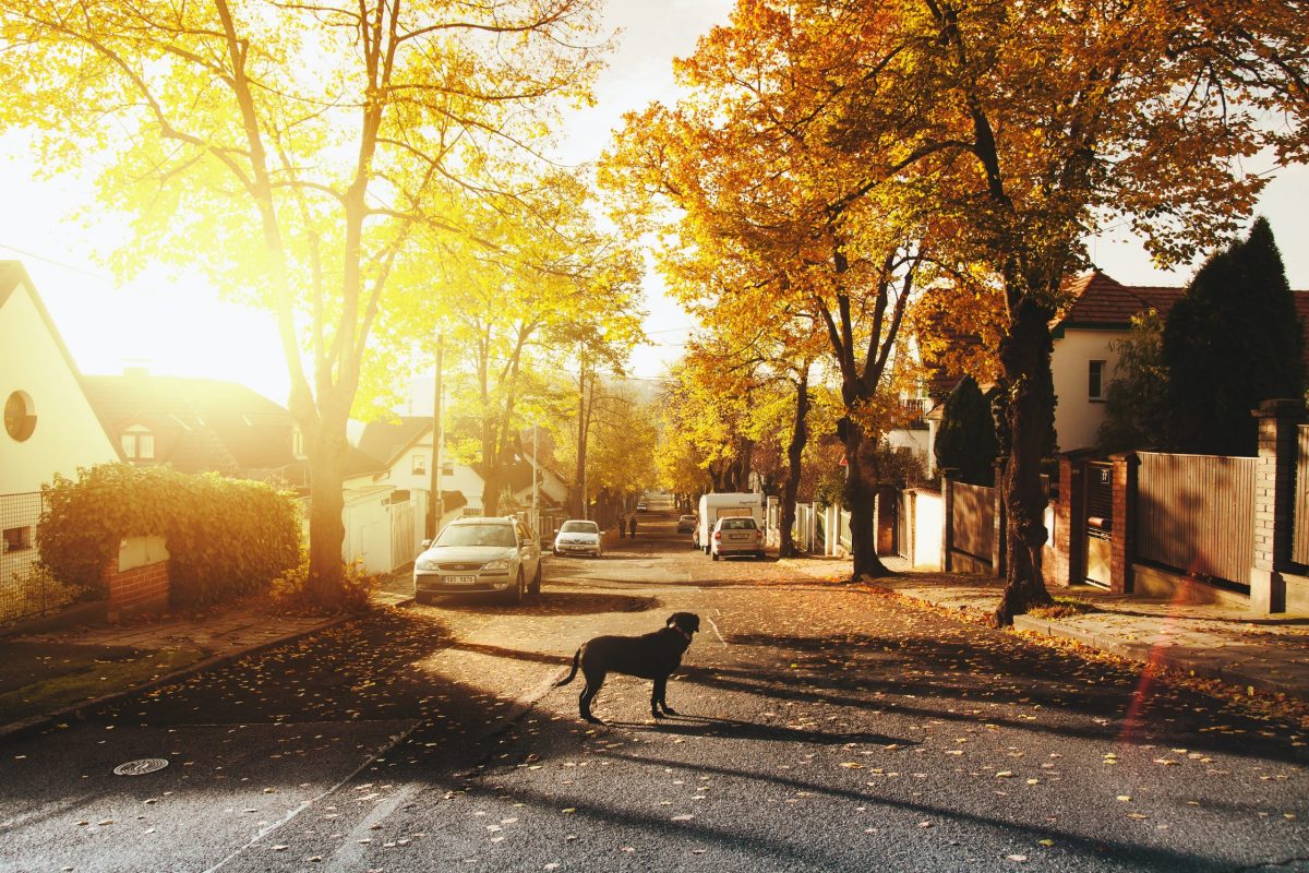 Top 5 Up-and-Coming Neighborhoods to Buy a Home in 2022