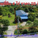 ขายที่ดิน 4 ไร่ พร้อมห้องเช่า ราคา 25 ล้านบาท ใกล้ อบต.สำนักบก