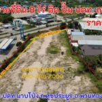 ขายที่ดิน 8 ไร่ ไร่ละ 9 ล้าน ติดปั๊มปตท. มาบโป่ง ถนนศุขประยูร อำเภอพานทอง ชลบุรี