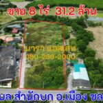 ขายที่ดิน 8 ไร่ ราคารวม 31.2 ล้านบาท (ไร่ละ 3.9 ล้านบาท) หมู่ 1 ต.สำนักบก อ.เมือง ชลบุรี