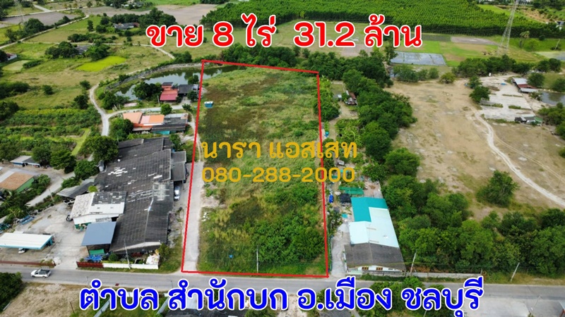 ขายที่ดิน 8 ไร่ ราคารวม 31.2 ล้านบาท (ไร่ละ 3.9 ล้านบาท) หมู่ 1 ต.สำนักบก อ.เมือง ชลบุรี