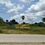 ขายที่ดิน 1 ไร่ 30 ตร.วา ราคา 2.1 ล้านบาท อ.พนัสนิคม ชลบุรี