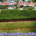 ขายที่ดิน 1-1-18 ไร่ ราคา 1.95 ล้านบาท อ.พนัสนิคม ชลบุรี