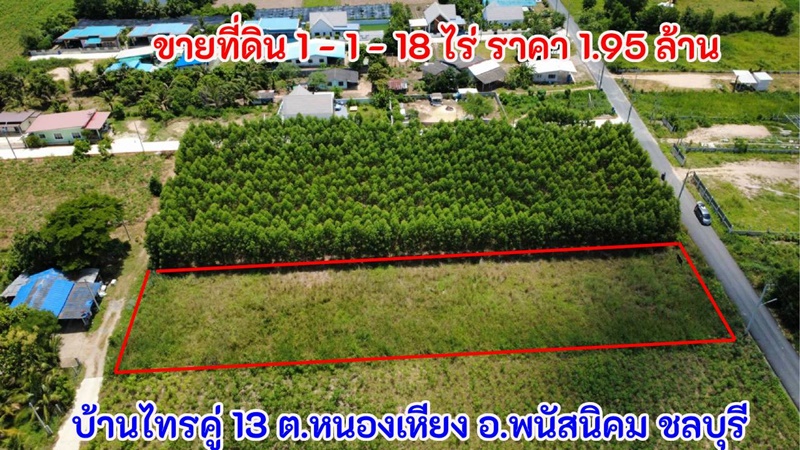 ขายที่ดิน 1-1-18 ไร่ ราคา 1.95 ล้านบาท อ.พนัสนิคม ชลบุรี