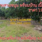 ขายสวนขนุน 1 ไร่ พร้อมบ้าน