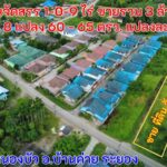 ขายที่ดินเปล่า ขนาด 60, 62, 65 ตร.วา ราคาแปลงละ 500,000 บาท และ ที่ดินขายรวม 2 แปลง เนื้อที่ 127 ตร.วา ราคา 1.5 ล้านบาท