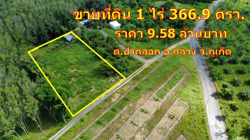 ขายที่ดินวิวภูเขา ล้อมรอบด้วยสวน ขนาด 1 ไร่ 366.9 ตารางวา ราคา 9.58 ล้านบาท ต.ป่าคลอก อ.ถลาง ภูเก็ต