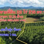 ขายที่ดิน 22 ไร่ 215 ตรว. ราคาไร่ละ0.852 ล้านบาท หรือรวมเป็นเงิน 19.12 ล้าน บ้านกะไหล อ.ตะกั่วทุ่ง พังงา