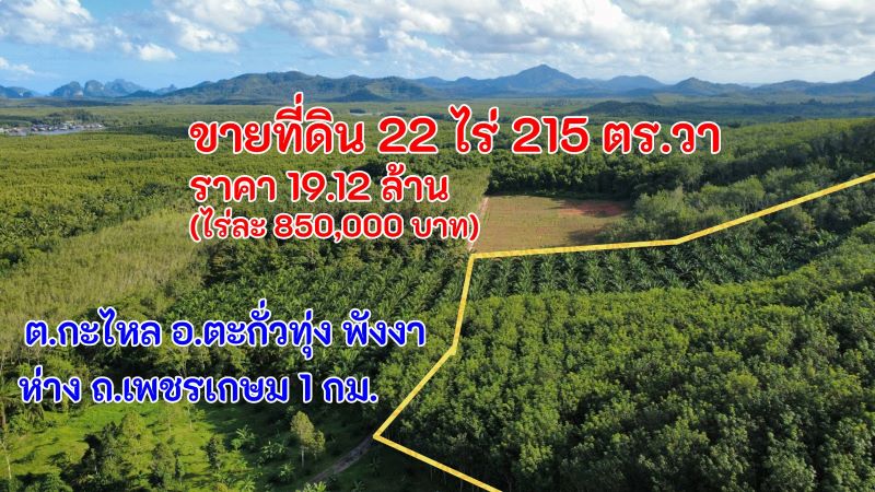 ขายที่ดิน 22 ไร่ 215 ตรว. ราคาไร่ละ0.852 ล้านบาท หรือรวมเป็นเงิน 19.12 ล้าน บ้านกะไหล อ.ตะกั่วทุ่ง พังงา