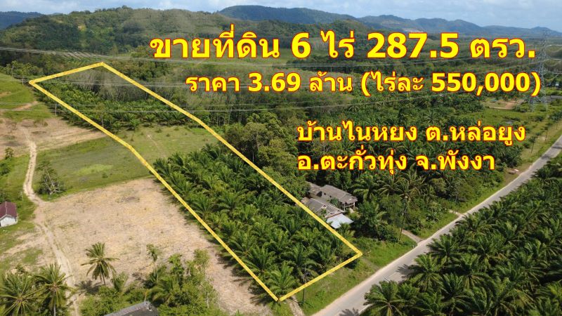 ขายที่ดิน 6 ไร่ 287.5 ตรว. ราคา 3.69 ล้าน (ไร่ละ550,000 บาท) จ.พังงา