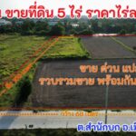 ขายที่ดิน 5 ไร่ ราคา 15 ล้าน ด้านหน้าติดถนนคอนกรีต ด้านหลังติดบึงน้ำ ต.สำนักบก อ.เมือง จ. ชลบุรี