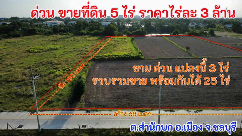 ขายที่ดิน 5 ไร่ ราคา 15 ล้าน ด้านหน้าติดถนนคอนกรีต ด้านหลังติดบึงน้ำ ต.สำนักบก อ.เมือง จ. ชลบุรี