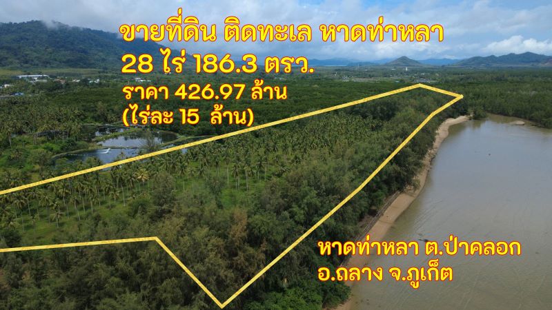 ขายที่ดินติดทะเล ภูเก็ต หาดท่าหลา 28 ไร่ หน้าหาด 350 ม. Rare Beachfront เพียง 15 ล้าน/ไร่