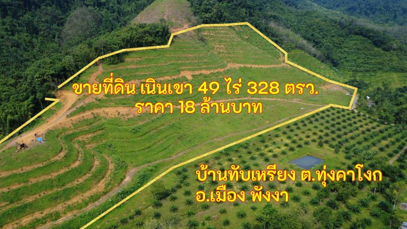 ขายที่ดินเนินเขา 49 ไร่ 326 ตรว. บ้านทับเหรียง พังงา 18 ล้านบาท