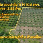 ขายที่ดินสวนปาล์ม 11 ไร่ 10.8 ตร.วา ราคา 3.85 ล้านบาท
