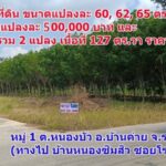 ขายที่ดินเปล่า ขนาด 60, 62, 65 ตร.วา ราคาแปลงละ 500,000 บาท และ ที่ดินขายรวม 2 แปลง เนื้อที่ 127 ตร.วา ราคา 1.5 ล้านบาท