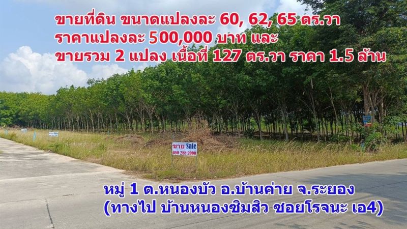 ขายที่ดินเปล่า ขนาด 60, 62, 65 ตร.วา ราคาแปลงละ 500,000 บาท และ ที่ดินขายรวม 2 แปลง เนื้อที่ 127 ตร.วา ราคา 1.5 ล้านบาท