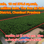 Land for sale, Purple & Yellow Zone, 10 rai 376.6 sq.wah, only 29.5 million baht, Tha Bun Mi Subdistrict, Ko Chan District, Chonburi Provinceขายที่ดินสีม่วงลายและสีเหลือง 10 ไร่ 376.6 ตรว. เพียง 29.5 ล้านบาท ตำบลท่าบุญมี อำเภอเกาะจันทร์ จังหวัดชลบุรี出售紫色和黄色地块，面积10莱376.6平方哇，仅售2950万泰铢，春武里府高赞县他布米分区