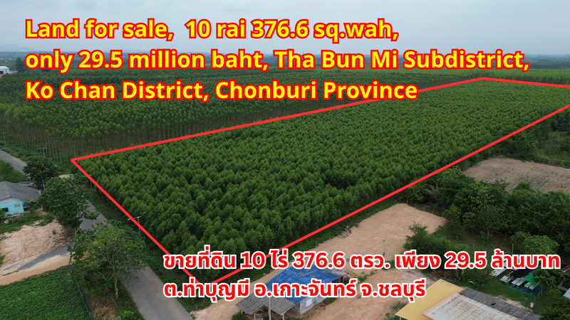 Land for sale, Purple & Yellow Zone, 10 rai 376.6 sq.wah, only 29.5 million baht, Tha Bun Mi Subdistrict, Ko Chan District, Chonburi Provinceขายที่ดินสีม่วงลายและสีเหลือง 10 ไร่ 376.6 ตรว. เพียง 29.5 ล้านบาท ตำบลท่าบุญมี อำเภอเกาะจันทร์ จังหวัดชลบุรี出售紫色和黄色地块，面积10莱376.6平方哇，仅售2950万泰铢，春武里府高赞县他布米分区