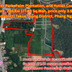Lane Sale Water Park, Palm Plantation, and Yutian Company Office Total land: 207 Rai 177.40 Sq.Wah, price only 3.5 million THB per Rai Prime location near the airport, Khok Kloi Subdistrict, Takua Thung District, Phang Nga Province ขายสวนน้ำ สวนปาล์ม และออฟฟิศบริษัทยูเตี่ยน ใกล้สนามบิน 207 ไร่ 177.40 ตารางวา ราคาเพียงไร่ละ 3.5 ล้านบาท  ตำบลโคกกลอย อำเภอตะกั่วทุ่ง จังหวัดพังงา  出售水上乐园、棕榈园及宇天公司办公室，靠近机场 ,207莱177.40平方哇，每莱仅售350万泰铢 ,攀牙府塔夸通县科克洛伊镇