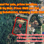 Sea-view land for sale, prime location. Size: 4 Rai 8 Sq.Wah. Price: 8MB per Rai. ,Khao Thong Subdistrict, Mueang Krabi District, Krabi Province.ขายที่ดินวิวทะเล ทำเลศักยภาพ 4 ไร่ 8 ตร.วา ราคาไร่ละ 8,000,000 บาท ตำบลเขาทอง อำเภอเมืองกระบี่ จังหวัดกระบี่出售海景潜力地块，面积4莱8平方哇，每莱售价800万泰铢。位置在甲米府甲米市县考通镇。