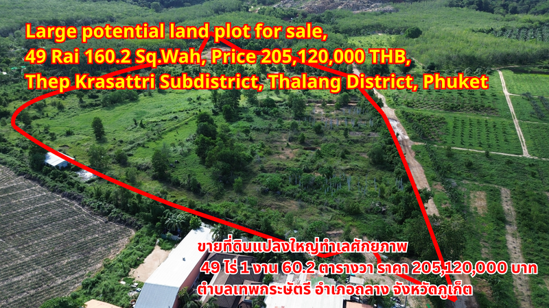 Large potential land plot for sale, 49 Rai 160.2 Sq.Wah, Price 205,120,000 THB, Thep Krasattri Subdistrict, Thalang District, Phuketขายที่ดินแปลงใหญ่ทำเลศักยภาพ 49 ไร่ 160.2 ตารางวา ราคา 205,120,000 บาท ตำบลเทพกระษัตรี อำเภอถลาง จังหวัดภูเก็ต出售大型优质地块土地，面积49莱160.2平方哇，价格205,120,000泰铢，位于泰国普吉府他朗县帖拉萨特里镇。