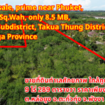 Land for sale, prime near Phuket, 9 Rai 289 Sq.Wah, only 8.5 million THB, Lo Yung Subdistrict, Takua Thung District, Phang Nga Provinceขายที่ดินทำเลศักยภาพ ใกล้ภูเก็ต  9 ไร่ 289 ตารางวาราคาเพียง 8.5 ล้านบาท ตำบลหล่อยูง อำเภอตะกั่วทุ่ง จังหวัดพังงา出售土地，潜力地段，靠近普吉岛，9莱289平方哇，仅售850万泰铢，攀牙府塔夸通县洛勇乡