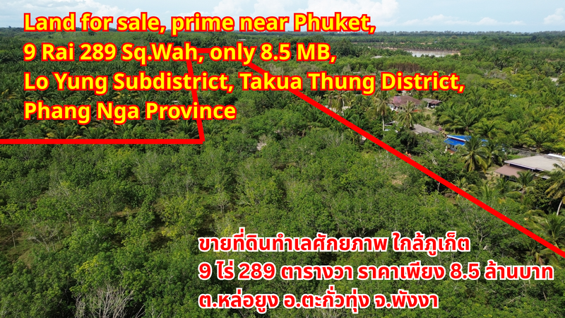 Land for sale, prime near Phuket, 9 Rai 289 Sq.Wah, only 8.5 million THB, Lo Yung Subdistrict, Takua Thung District, Phang Nga Provinceขายที่ดินทำเลศักยภาพ ใกล้ภูเก็ต  9 ไร่ 289 ตารางวาราคาเพียง 8.5 ล้านบาท ตำบลหล่อยูง อำเภอตะกั่วทุ่ง จังหวัดพังงา出售土地，潜力地段，靠近普吉岛，9莱289平方哇，仅售850万泰铢，攀牙府塔夸通县洛勇乡