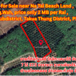 Prime Land for Sale near Na Tai Beach Land ,7 Rai 37.5 Sq.Wah, price only 2 million THB per Rai  , Khok Kloi Subdistrict, Takua Thung District, Phang Nga Province ขายที่ดินทำเลดี ใกล้ทะเลนาใต้ จังหวัดพังงา 7 ไร่ 37.5 ตารางวา ราคาเพียงไร่ละ 2 ล้านบาท ตำบลโคกกลอย อำเภอตะกั่วทุ่ง จังหวัดพังงา 出售优质土地，靠近纳泰海滩,7莱37.5平方哇，每莱仅售200万泰铢 ,攀牙府塔夸通县科克洛伊镇