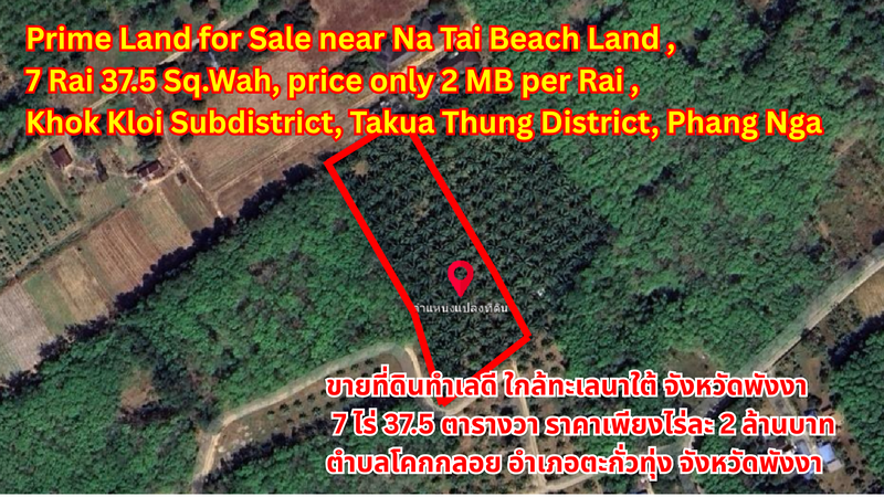 Prime Land for Sale near Na Tai Beach Land ,7 Rai 37.5 Sq.Wah, price only 2 million THB per Rai  , Khok Kloi Subdistrict, Takua Thung District, Phang Nga Province ขายที่ดินทำเลดี ใกล้ทะเลนาใต้ จังหวัดพังงา 7 ไร่ 37.5 ตารางวา ราคาเพียงไร่ละ 2 ล้านบาท ตำบลโคกกลอย อำเภอตะกั่วทุ่ง จังหวัดพังงา 出售优质土地，靠近纳泰海滩,7莱37.5平方哇，每莱仅售200万泰铢 ,攀牙府塔夸通县科克洛伊镇
