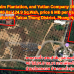 Water Park, Palm Plantation, and Yutian Company Office for Sale Land size: 46 Rai 124.9 Sq.Wah, price 6 million THB per Rai Prime location: Khok Kloi Subdistrict, Takua Thung District, Phang Nga Province  ขายสวนน้ำ สวนปาล์ม และออฟฟิศบริษัทยูเตี่ยน 46 ไร่ 124.9 ตร.วา  ราคาเพียงไร่ละ 6 ล้านบาท ตำบลโคกกลอย อำเภอตะกั่วทุ่ง จังหวัดพังงา  出售水上乐园、棕榈园及宇天公司办公室 面积：46莱124.9平方哇，每莱售价600万泰铢 位置：攀牙府塔夸通县科克洛伊镇