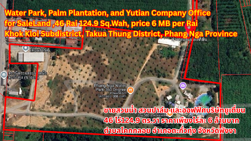 Water Park, Palm Plantation, and Yutian Company Office for Sale Land size: 46 Rai 124.9 Sq.Wah, price 6 million THB per Rai Prime location: Khok Kloi Subdistrict, Takua Thung District, Phang Nga Province  ขายสวนน้ำ สวนปาล์ม และออฟฟิศบริษัทยูเตี่ยน 46 ไร่ 124.9 ตร.วา  ราคาเพียงไร่ละ 6 ล้านบาท ตำบลโคกกลอย อำเภอตะกั่วทุ่ง จังหวัดพังงา  出售水上乐园、棕榈园及宇天公司办公室 面积：46莱124.9平方哇，每莱售价600万泰铢 位置：攀牙府塔夸通县科克洛伊镇