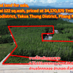 High-potential land for sale, total area 6 rai 122 sq.wah, priced at 34,170,575 THB. ,Khok Kloi Subdistrict, Takua Thung District, Phang Nga Province.ขายที่ดินศักยภาพสูง 6 ไร่ 122 ตารางวา ราคา  34,170,575 บาท  ตำบลโคกกลอย อำเภอตะกั่วทุ่ง จังหวัดพังงา高潜力土地出售，总面积 6 莱122 平方哇，售价 34,170,575 泰铢。位置在攀牙府塔夸通县科克克洛伊分区。