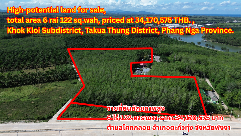 High-potential land for sale, total area 6 rai 122 sq.wah, priced at 34,170,575 THB. ,Khok Kloi Subdistrict, Takua Thung District, Phang Nga Province.ขายที่ดินศักยภาพสูง 6 ไร่ 122 ตารางวา ราคา  34,170,575 บาท  ตำบลโคกกลอย อำเภอตะกั่วทุ่ง จังหวัดพังงา高潜力土地出售，总面积 6 莱122 平方哇，售价 34,170,575 泰铢。位置在攀牙府塔夸通县科克克洛伊分区。